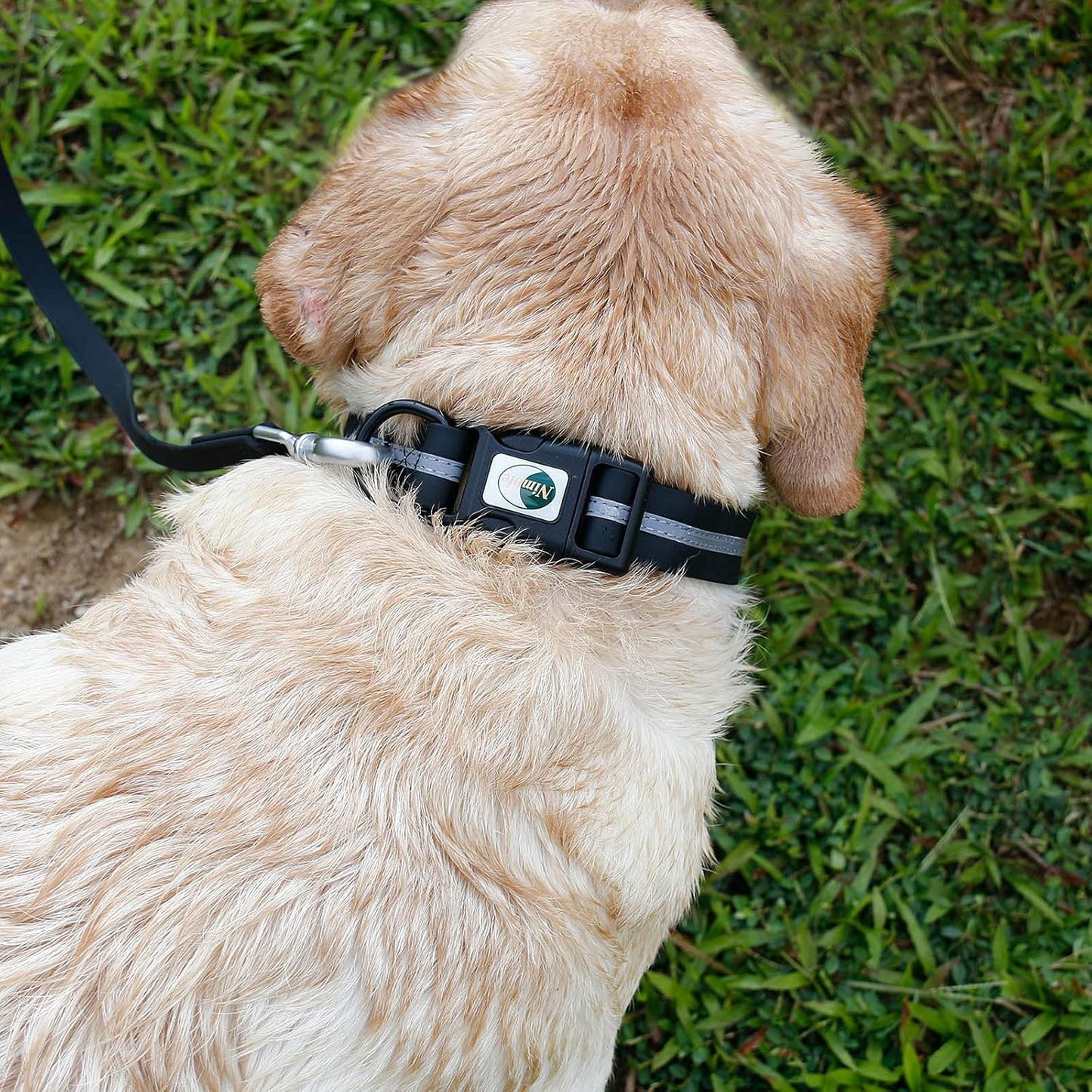Collier pour Chien - WaterproofDogCollar™ - Noir